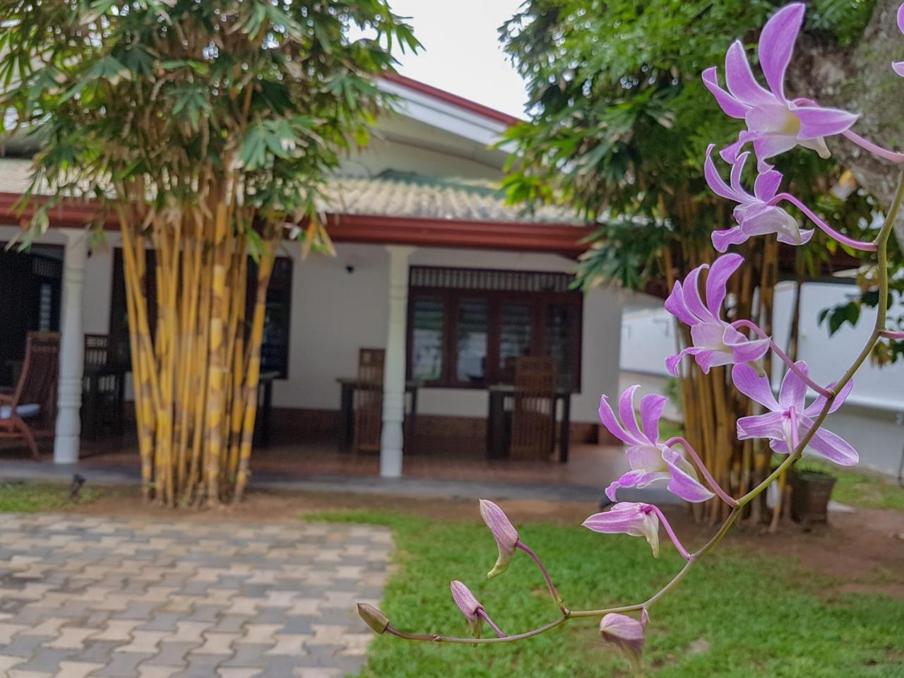 White Villa Beach Resort Mirissa Esterno foto